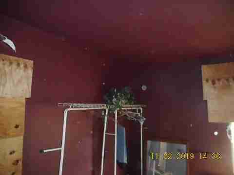 9226 Forrer (19)_m.jpg